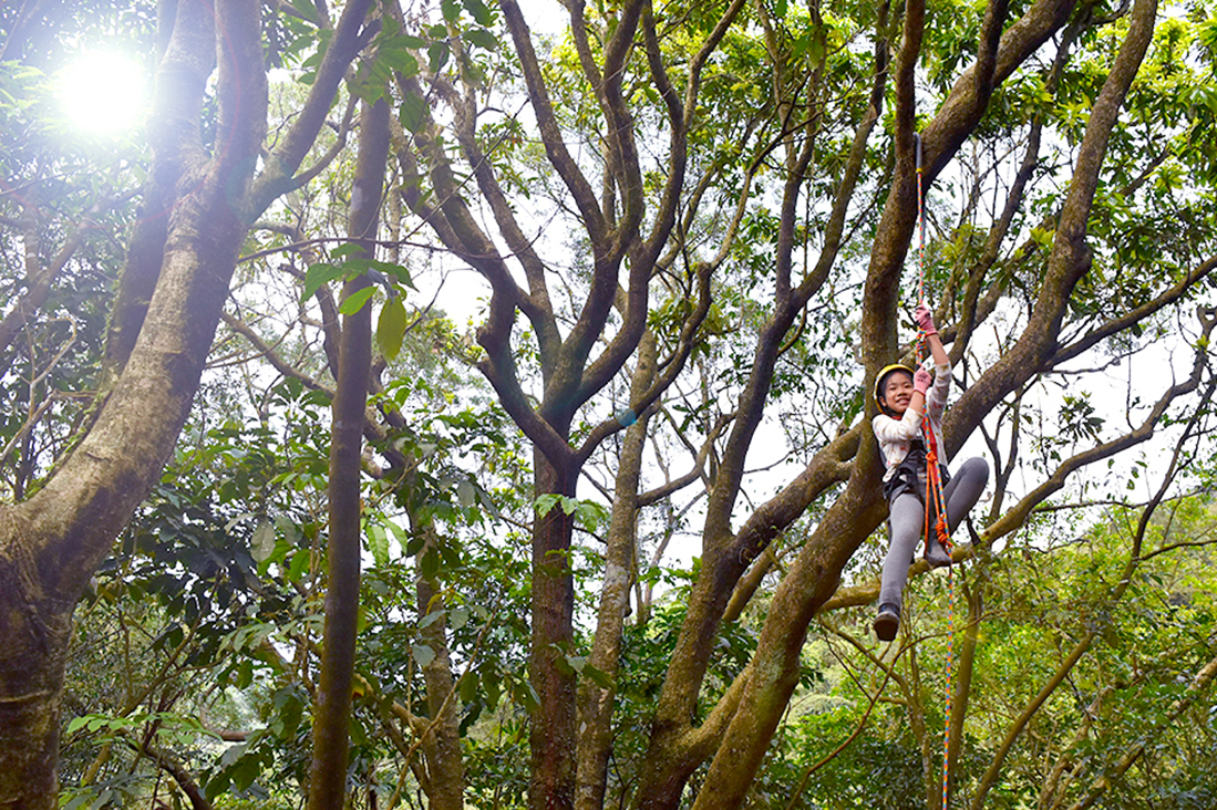 【新北】萬里樹攀+垂降體驗1日