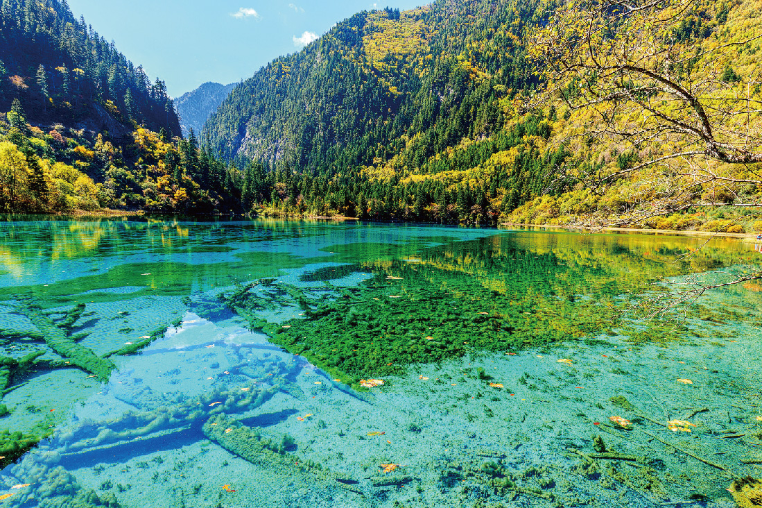 【四川】水之九寨溝二進溝・黃龍景區・峨嵋金頂健走<font color="red">自由行</font>8日