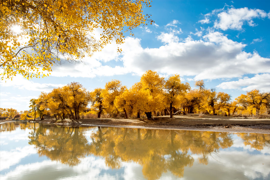 【新疆】金秋胡楊南疆沙漠健走<font color="red">自由行</font>12日(疆內單飛)