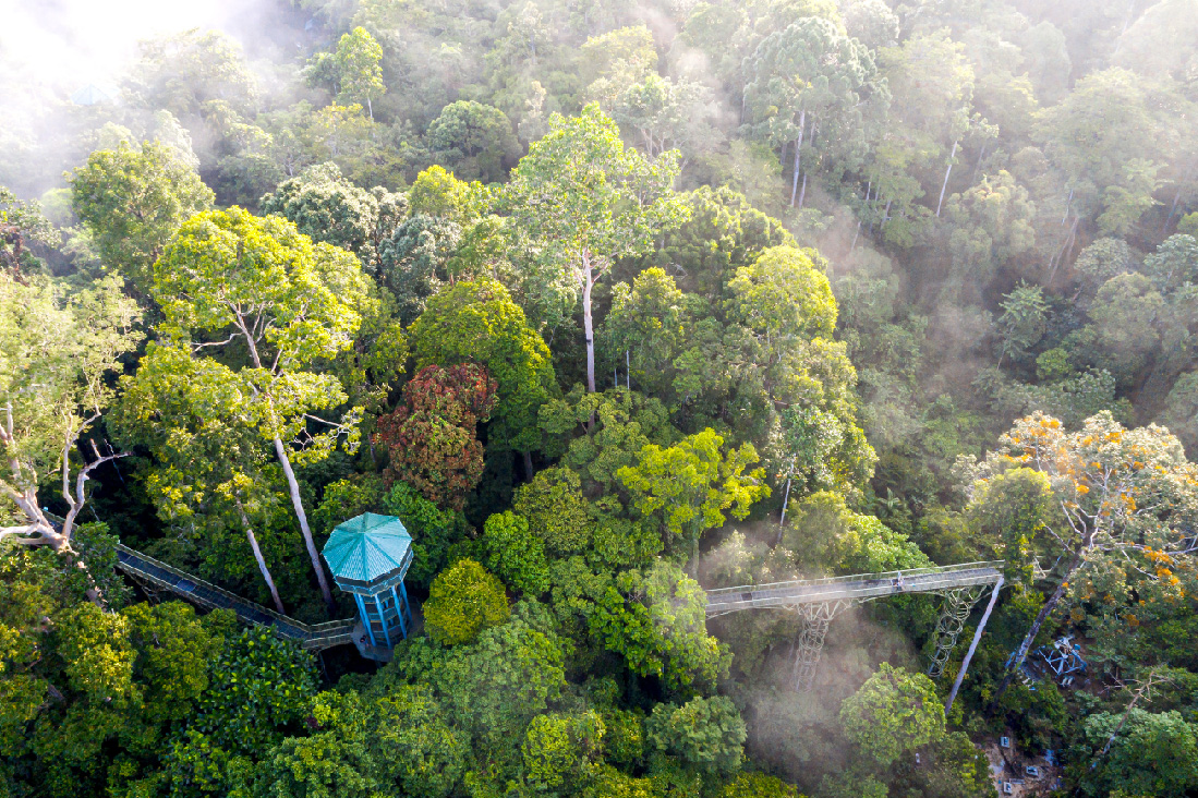 【汶萊+砂拉越】瑞池飯店2晚！雨林生態健行8日
