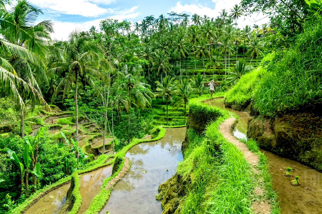 【峇里島】秘境健走．隱藏山丘5日