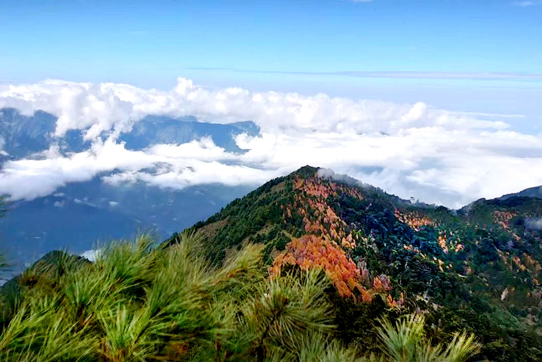 【南投】郡大山登頂2日
