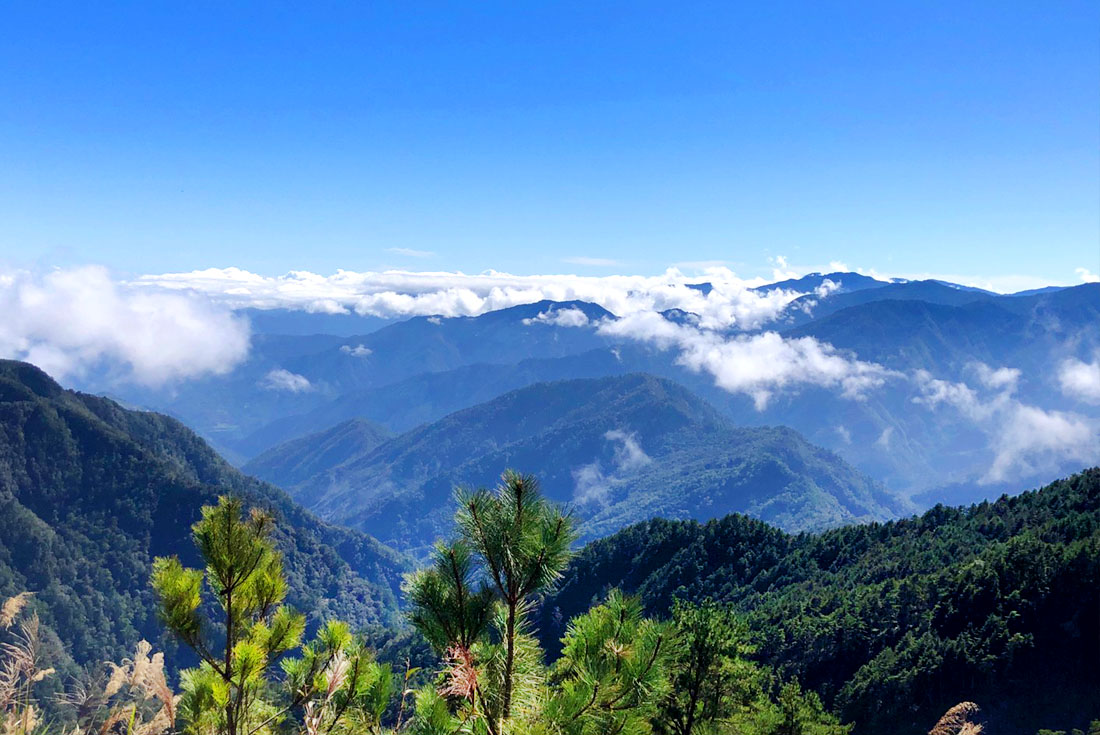 【高雄】南橫全線．天池．檜谷神木．埡口雲海．茂林3日(台南出發)