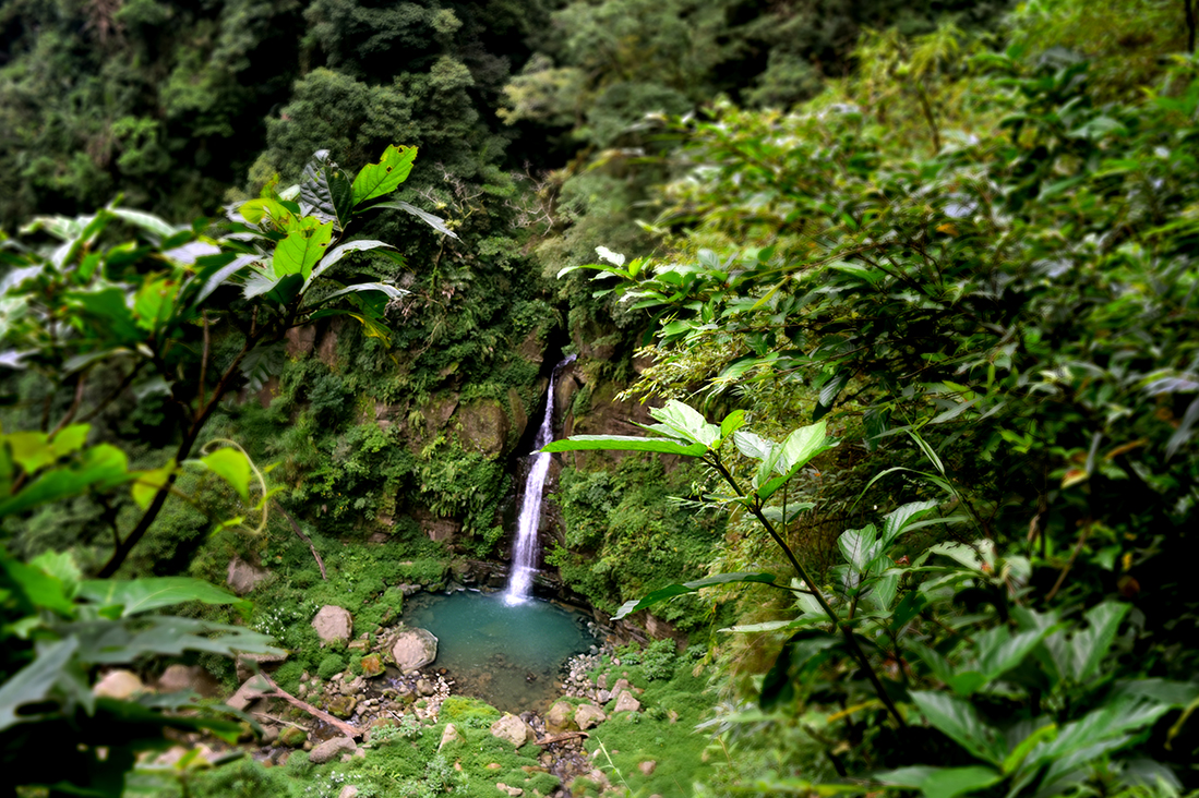 【嘉義】蘭桂坊花園酒店自由行3日