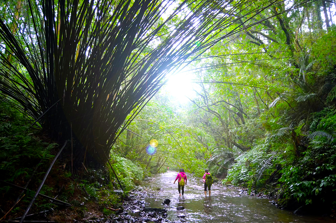【淡蘭中路】尋找傳說中的秘境~坪溪古道1日