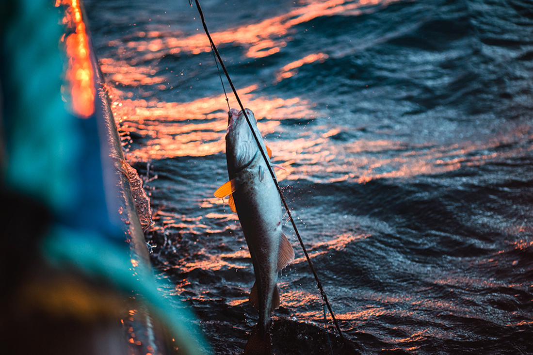 【基隆】新手也能上手！夜釣．船上漁夫料理半日遊