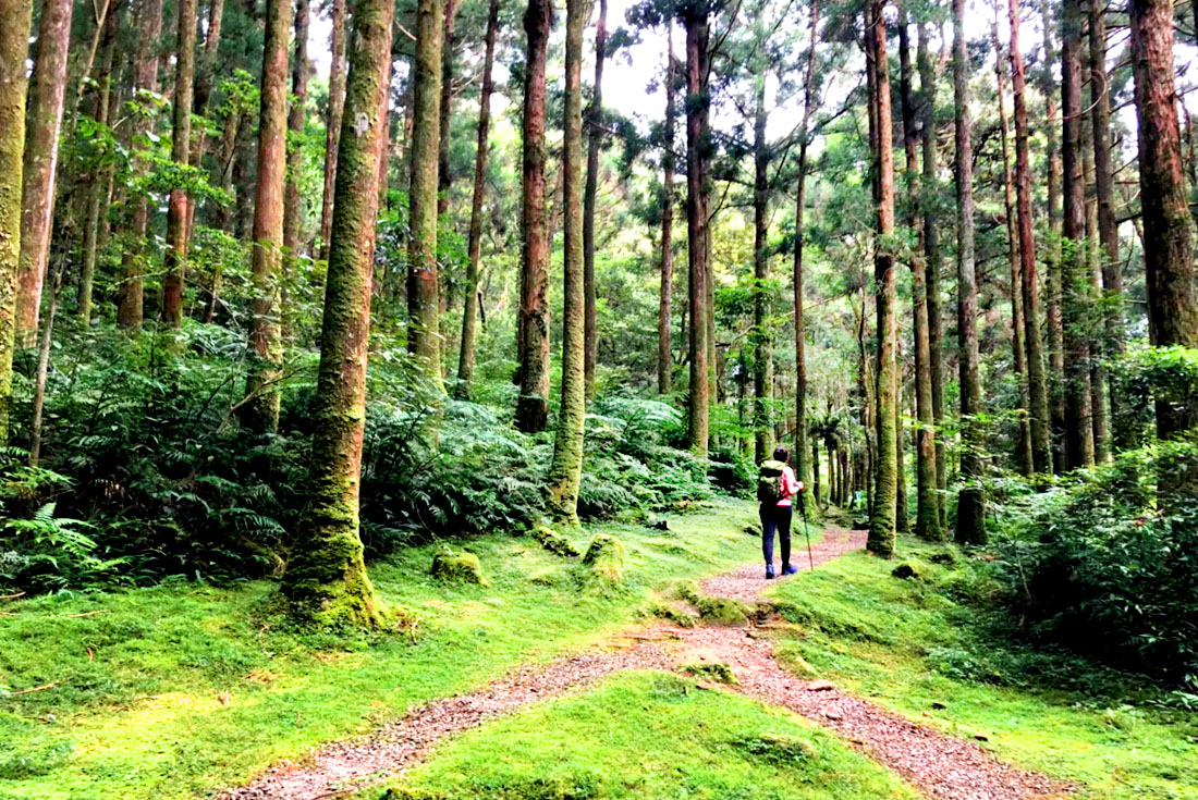  【桃園】挑戰自我─東滿步道健走1日