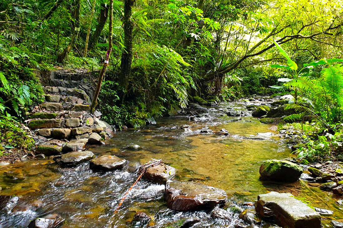 【淡蘭中路】走進百年先民之路~枋山坑古道&中坑古道1日