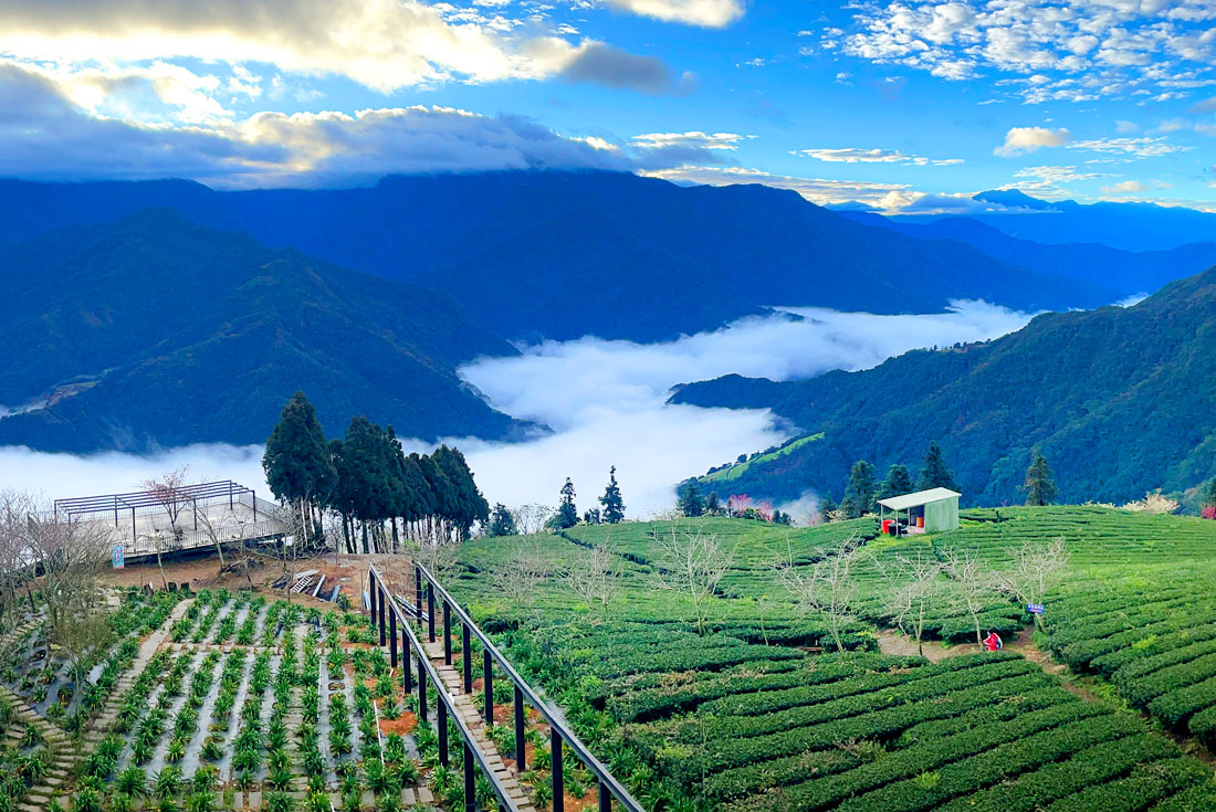  【嘉義南投】外傘頂洲．武界部落3日