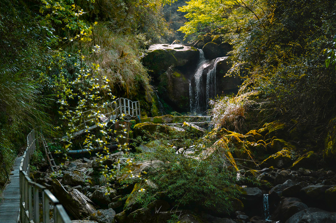 【嘉義】神阿縱走3日