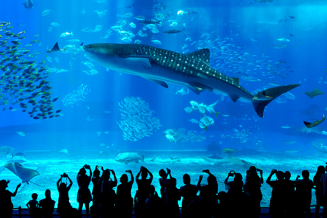 【沖繩】東橫INN飯店自由行4日