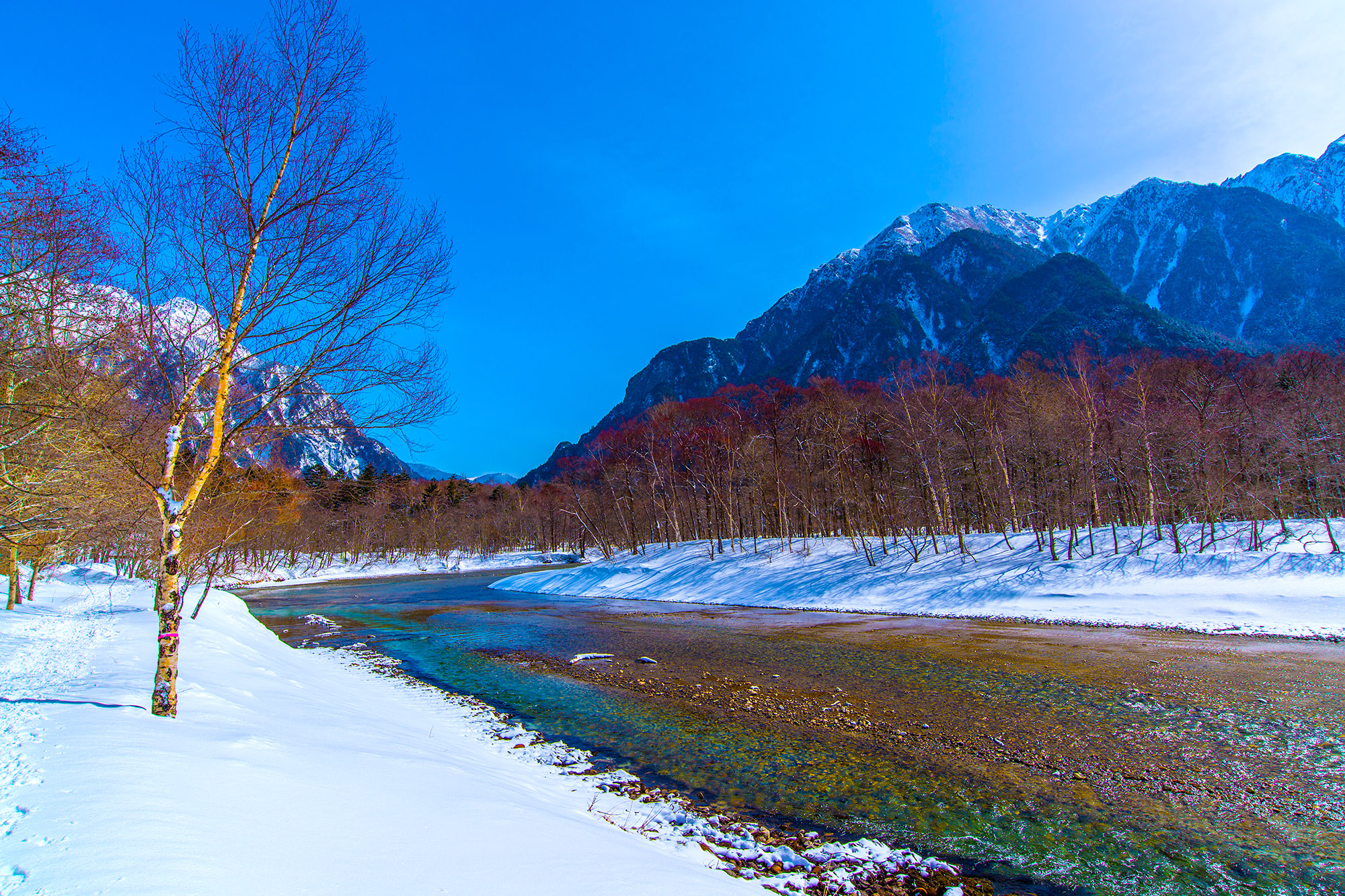 【日本中部】2026上高地夢幻雪地健走．北八之岳纜車樹冰8日