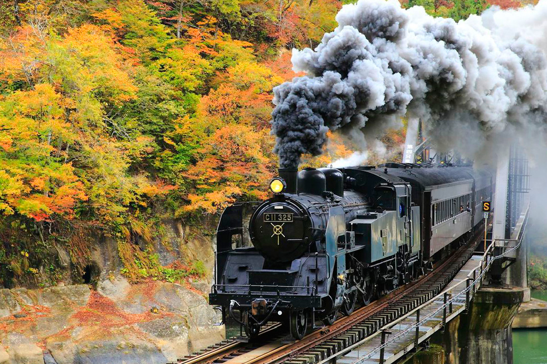 【日本中部】大井川+濱名湖雙鐵道5日