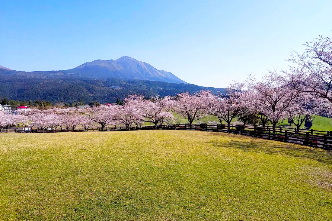 【南九州】百名山健行賞櫻・溫泉7日