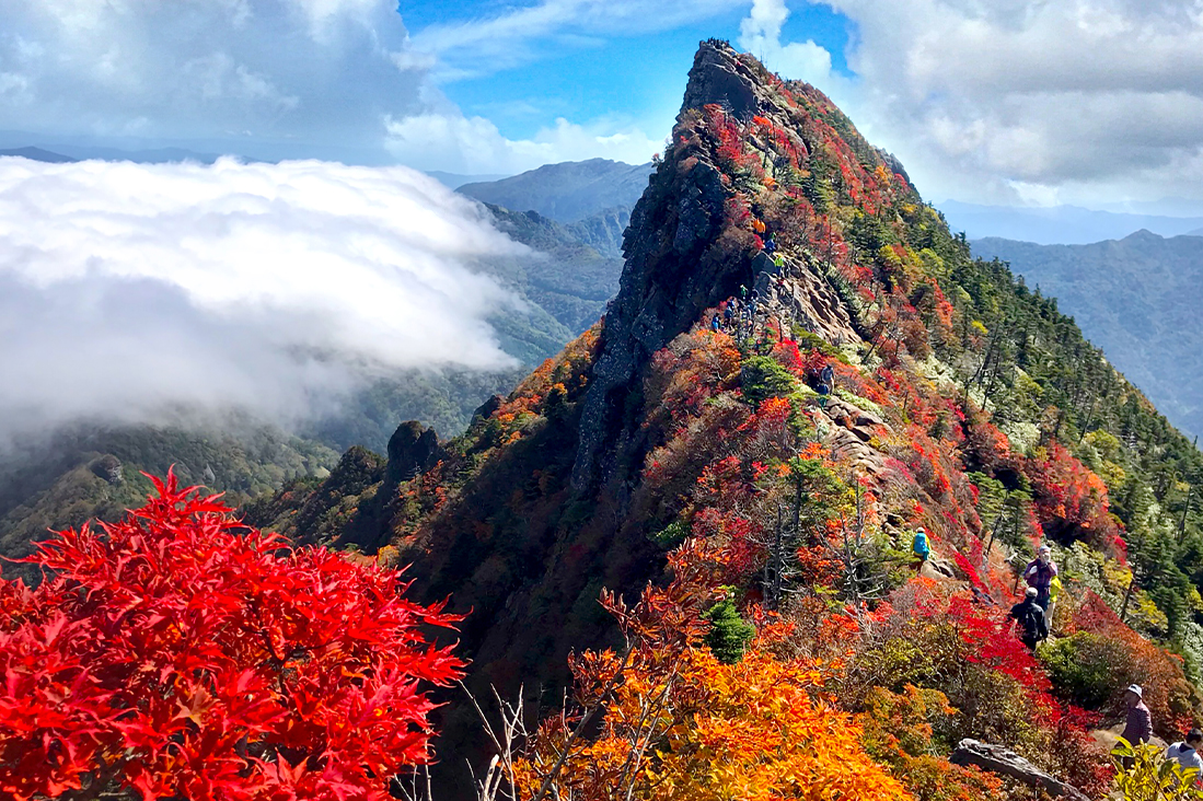 【日本四國】日本百大名山NO.94  四國石鎚山登頂紅葉 5日
