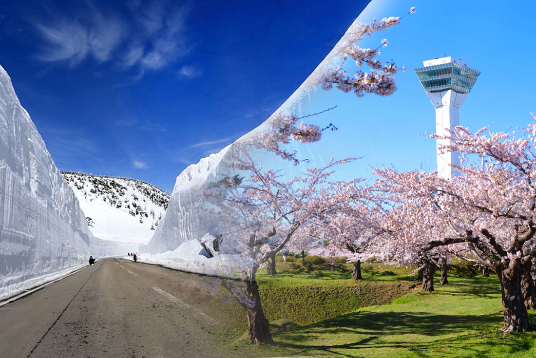 【那米哥劉董帶隊】踏雪追櫻・溫泉10日