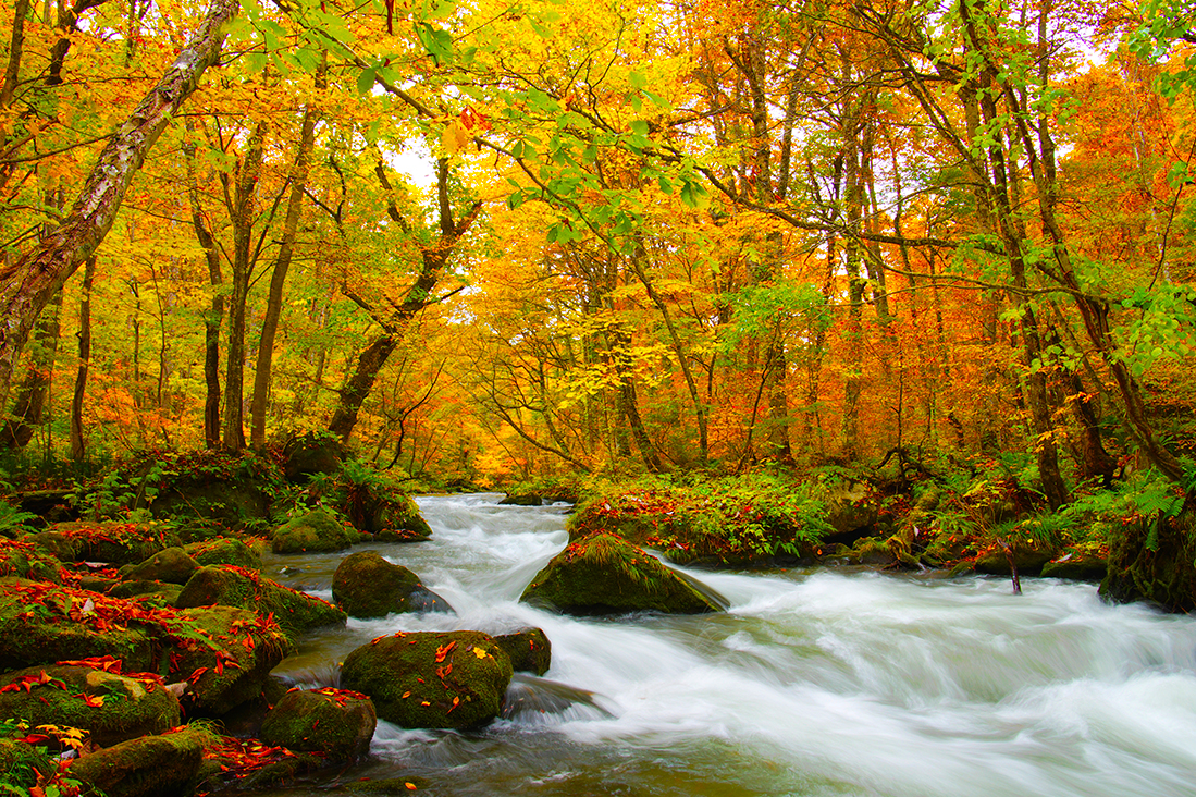 【日本東北】奧入瀨溪．白神山地12湖．溫泉8日