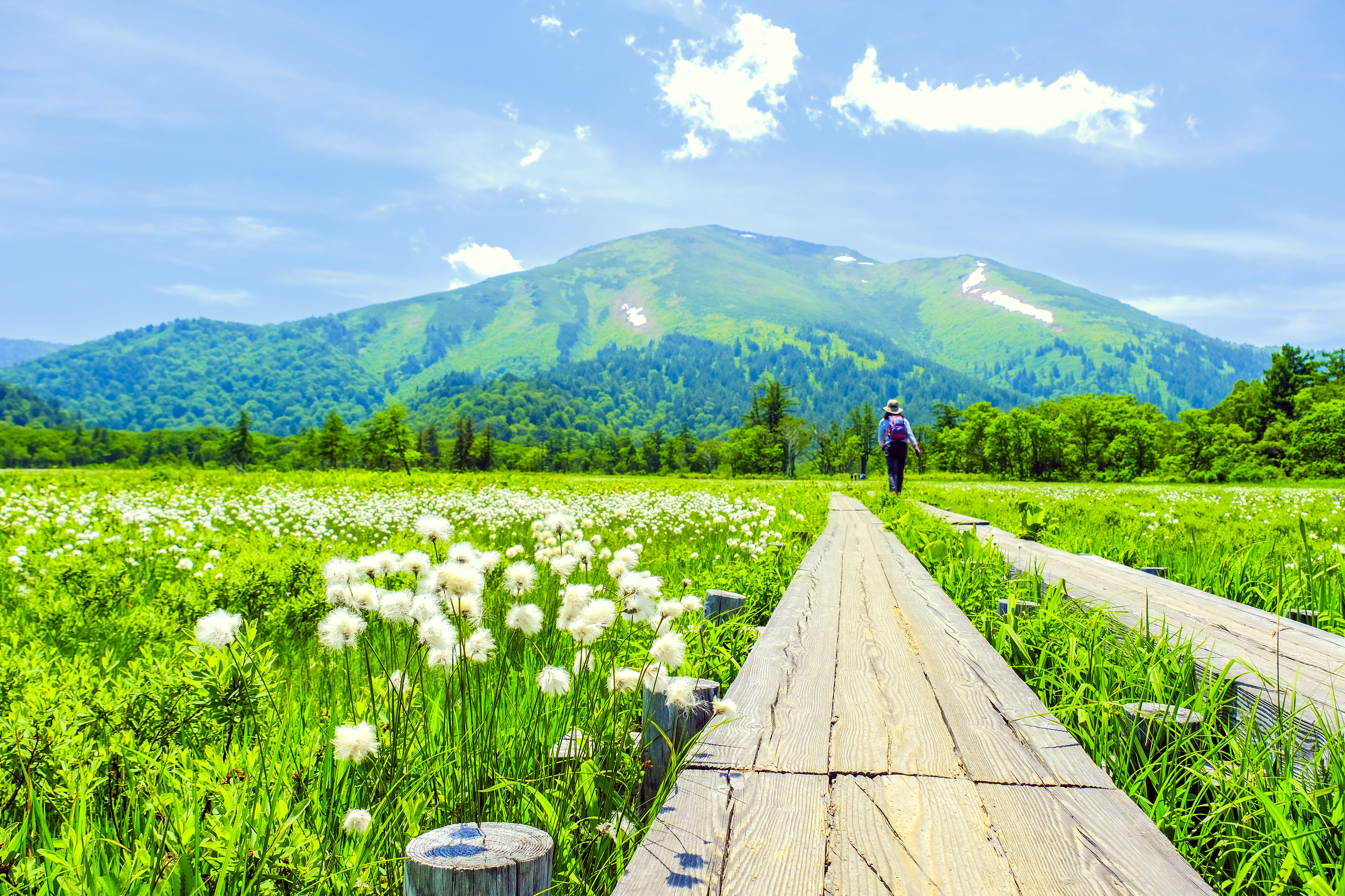 【日本關東】尾瀨濕原大縱走．日本九寨溝五色沼．谷川岳．溫泉8日