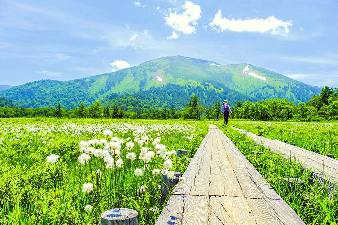 【日本關東】尾瀨濕原大縱走．日本九寨溝五色沼．谷川岳．溫泉8日