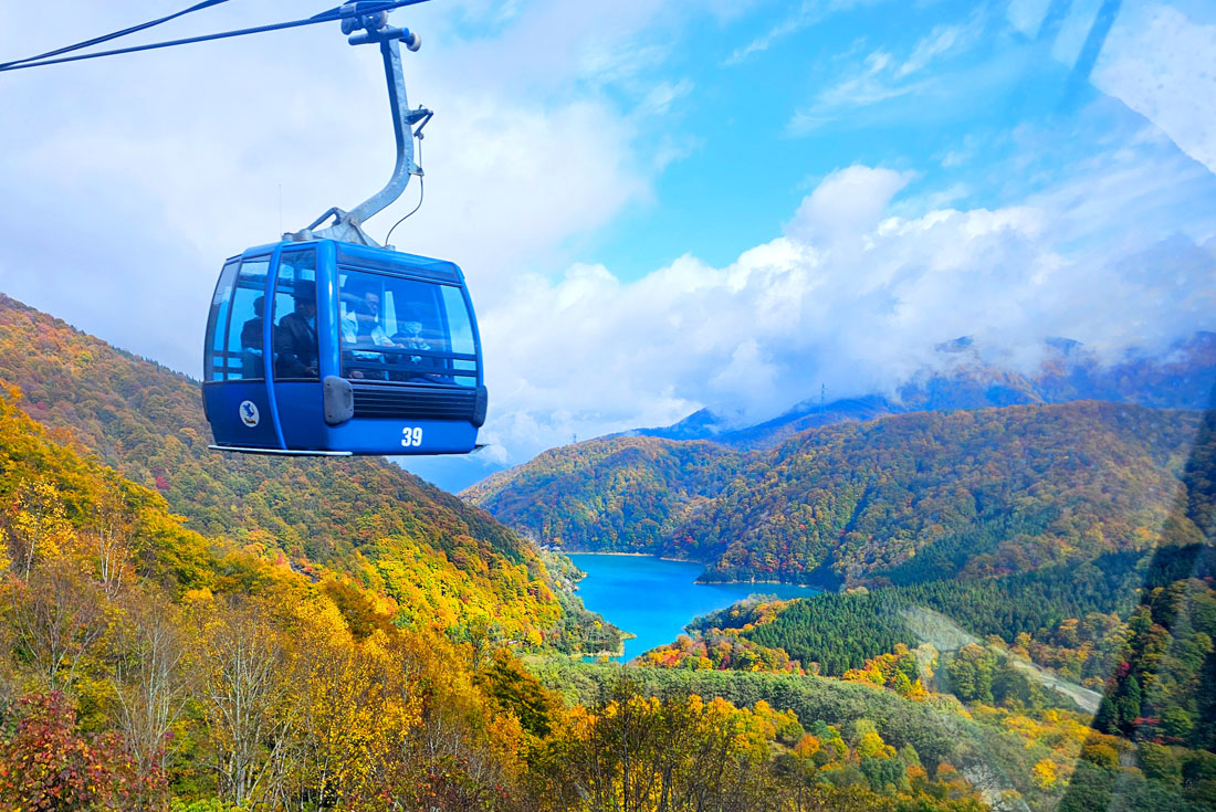 2026年度日本賞楓大健走