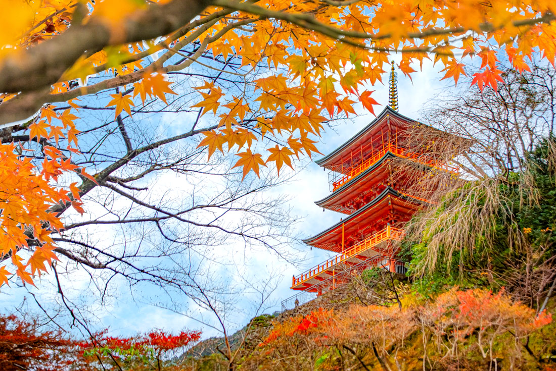  【日本關西】挑戰雙朝聖證書~熊野古道賞楓．二溫泉5日