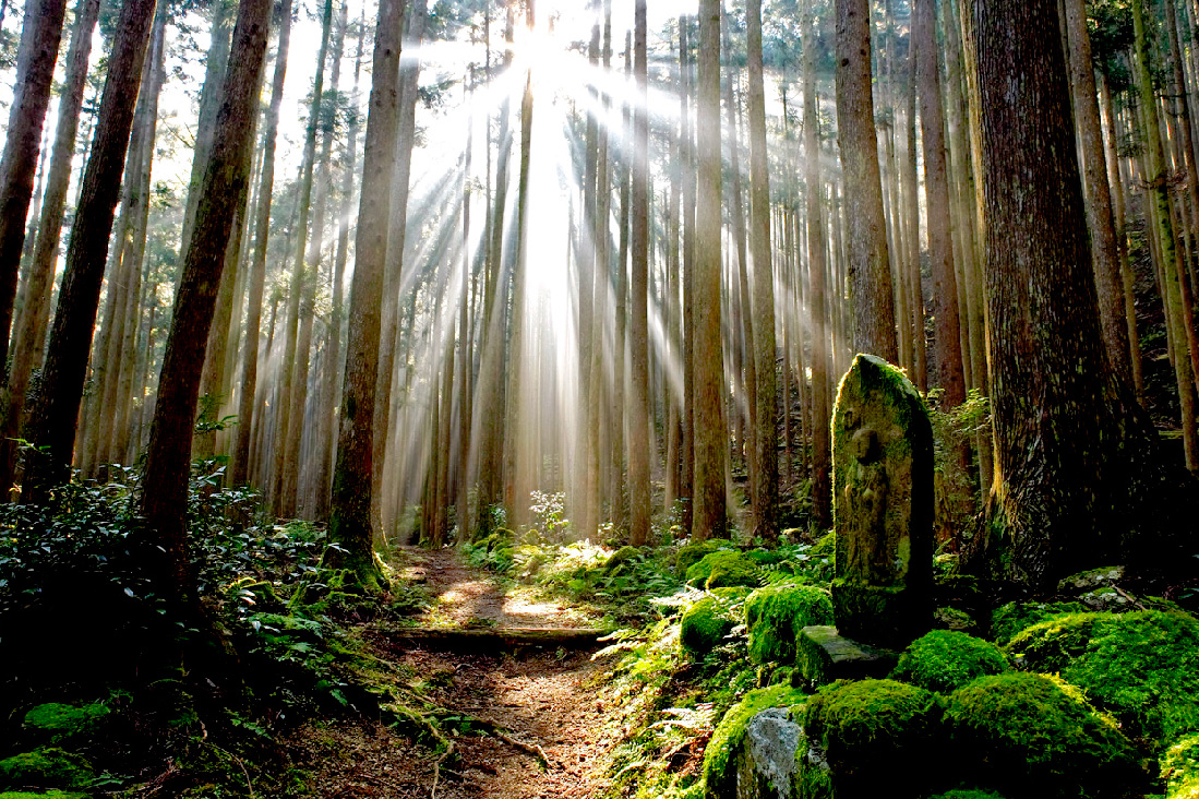  【日本關西】挑戰雙朝聖證書~熊野古道5日