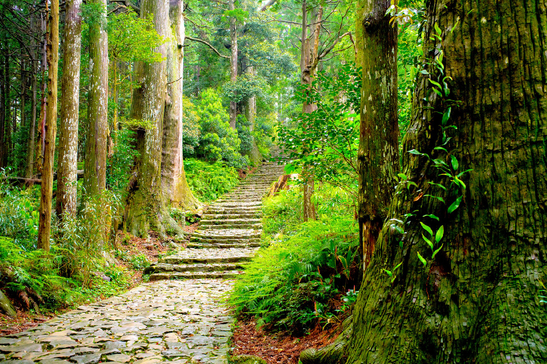 【日本關西】雙朝聖證書版~熊野古道‧熊野三山‧高野山‧賞楓‧二溫泉5日