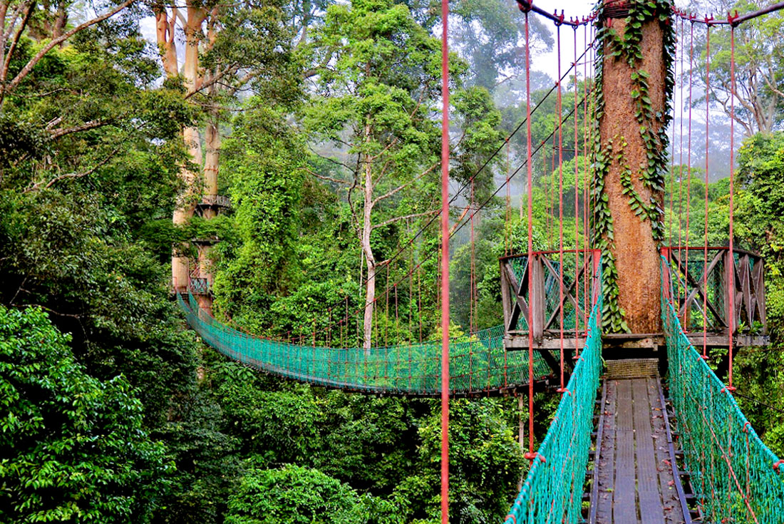 【馬來西亞．汶萊】沙巴丹南農家樂！汶萊金色王國8日