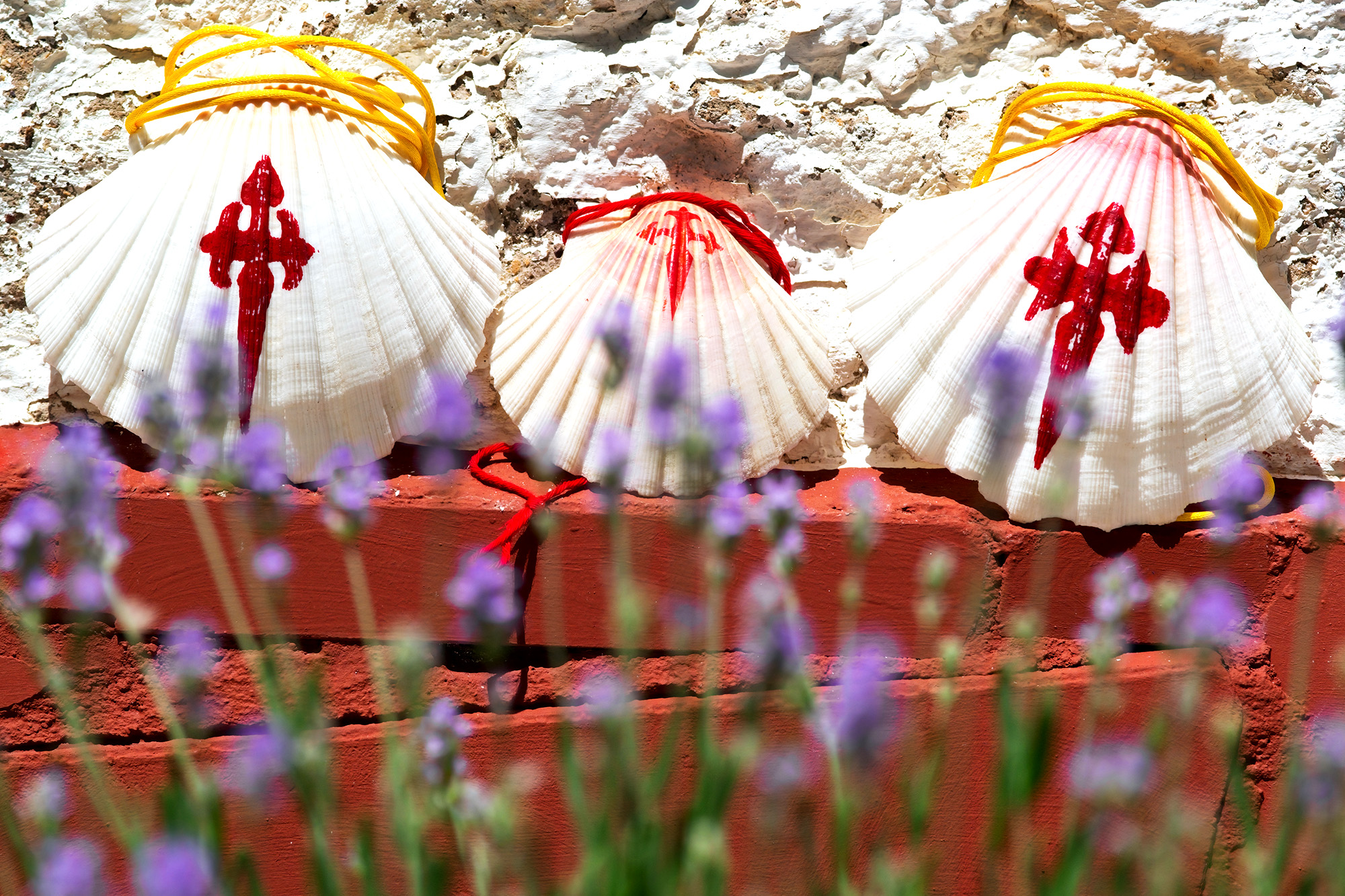 【葡萄牙】2026葡萄牙朝聖之路！結合海岸線+靈性路線+中央線三合一精華〜123公里徒步健行16日