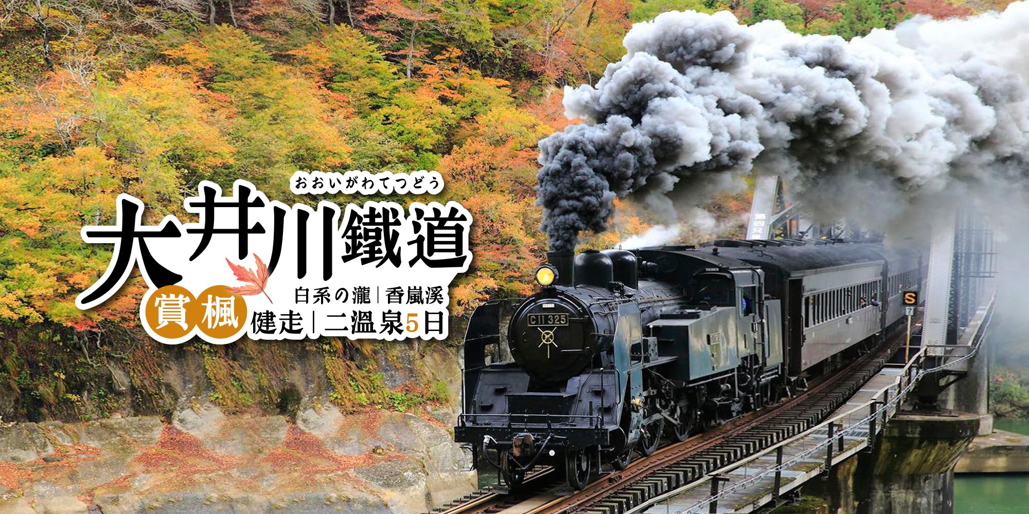 大井川鐵道賞楓