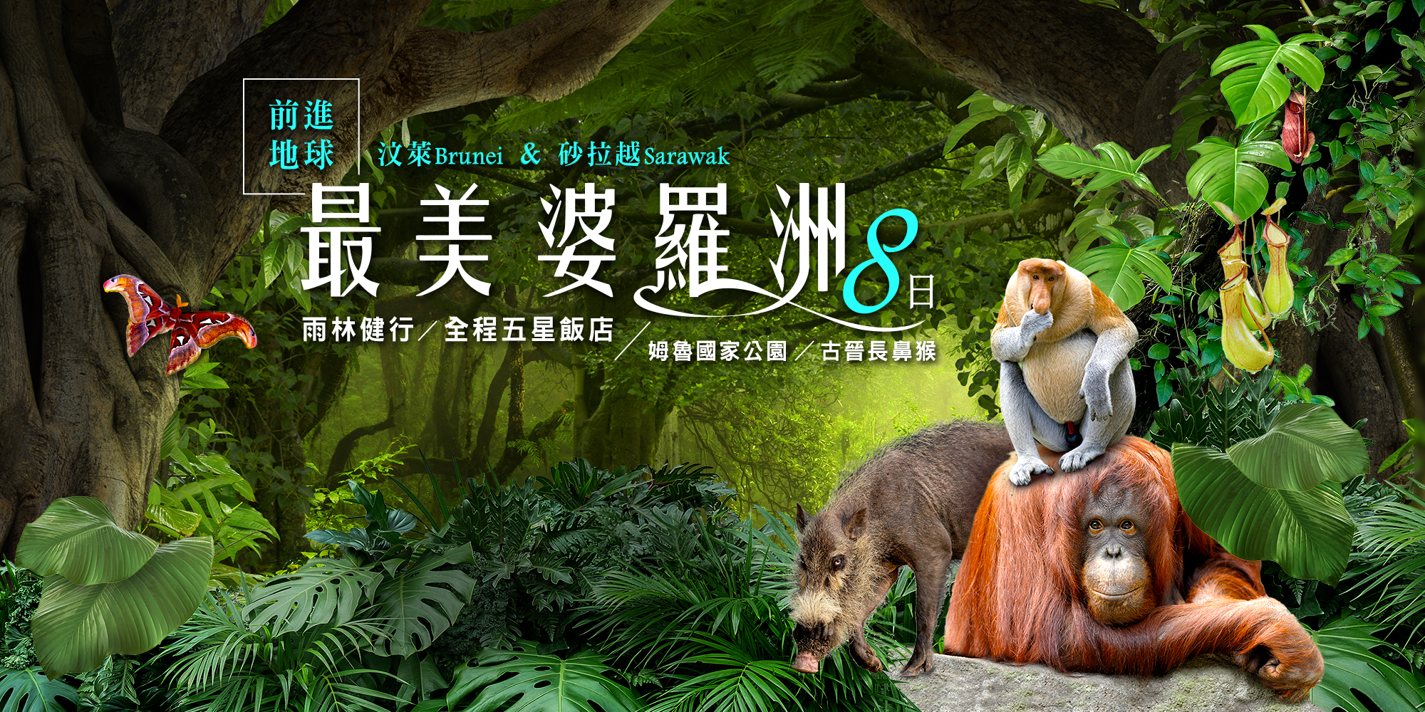 經典婆羅洲