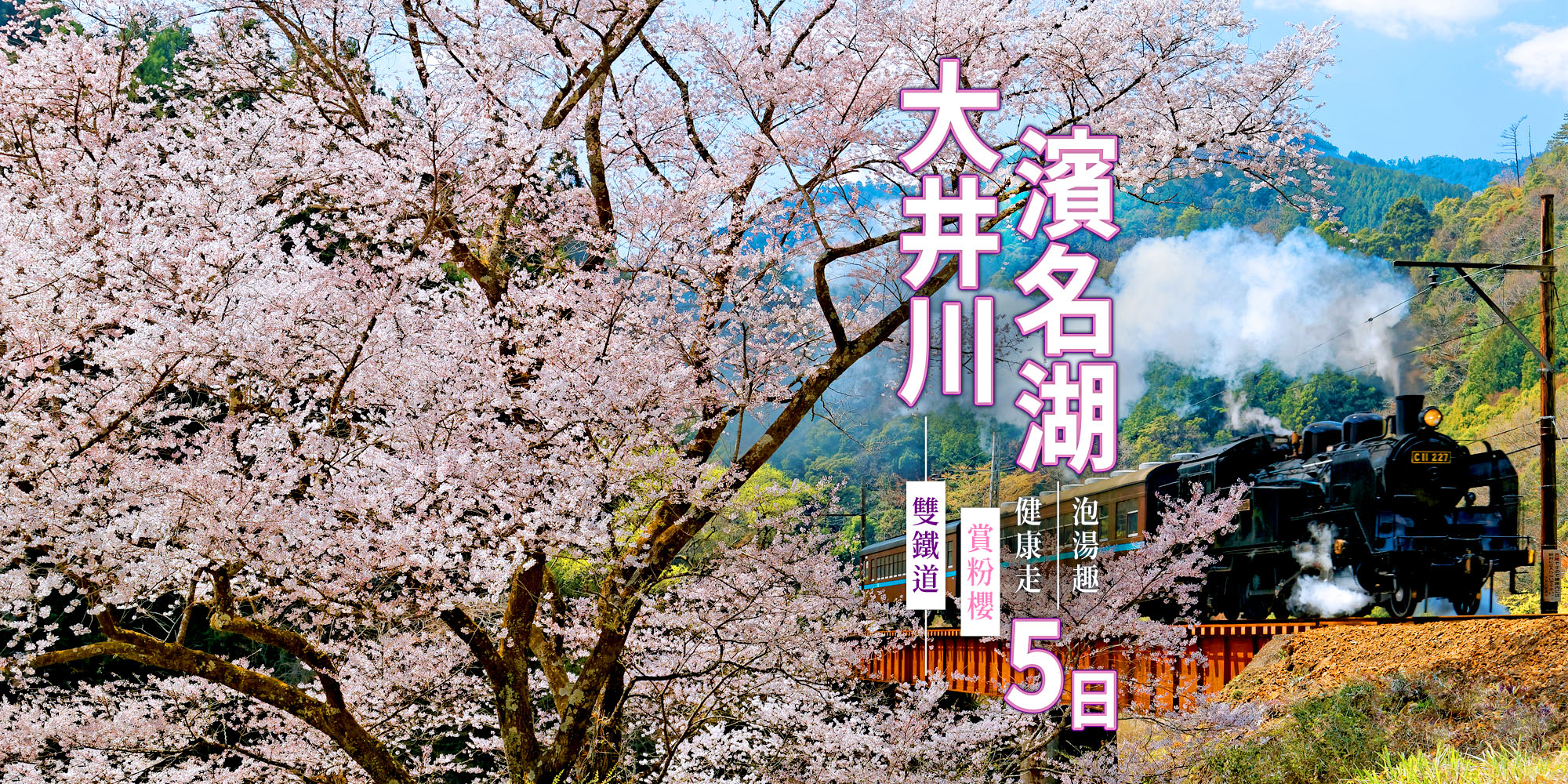 大井川鐵道賞櫻