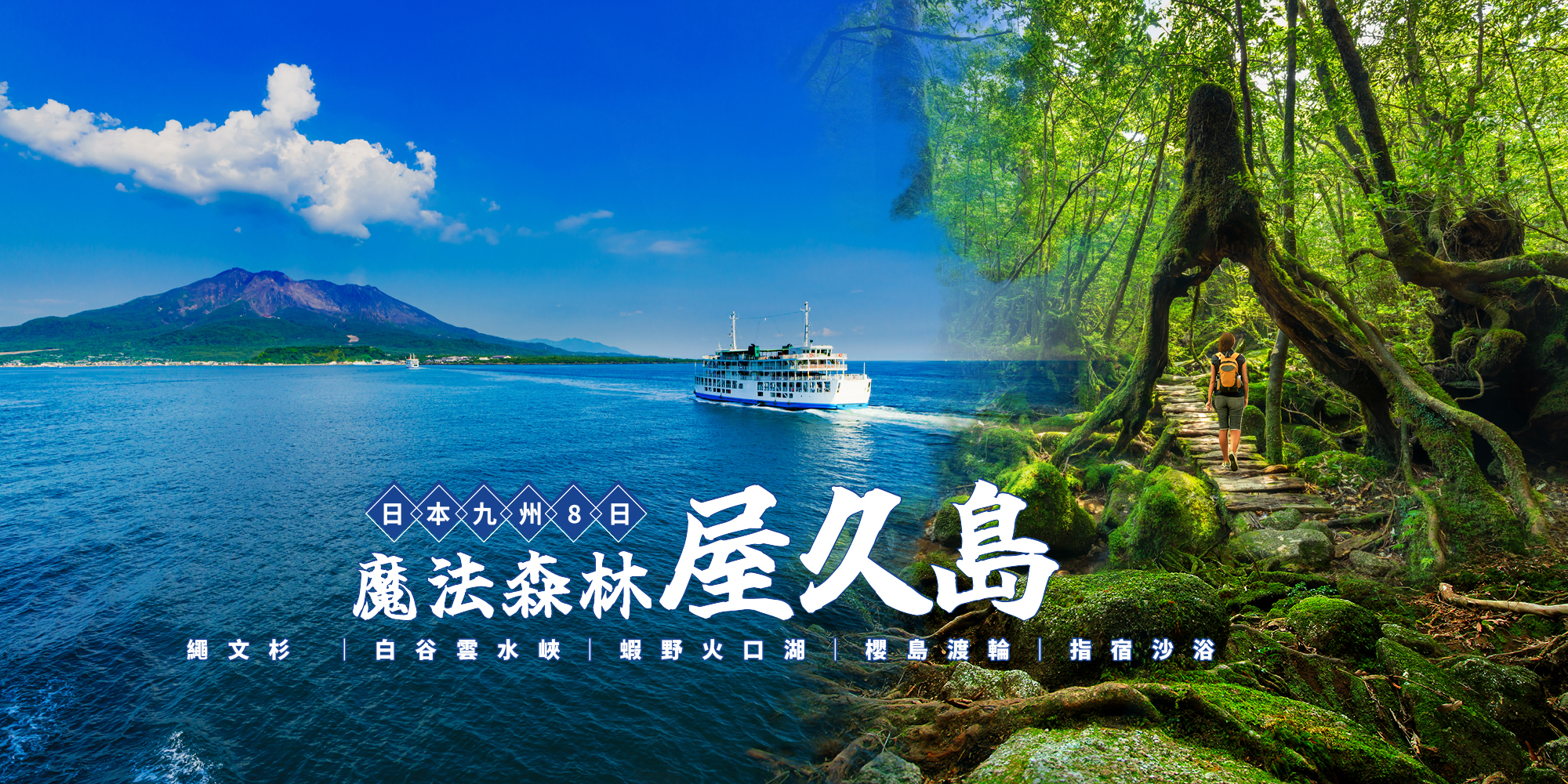 魔法森林屋久島