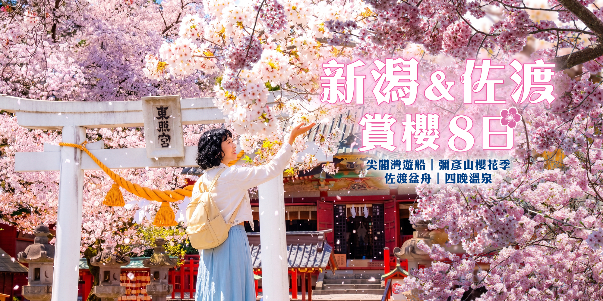 新瀉佐渡島賞櫻